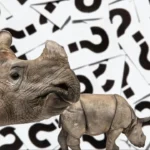 siete-especies-al-borde-de-la-extinción-jabonería-granel